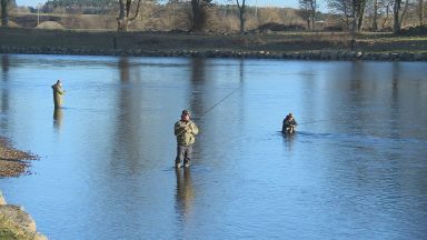 Presenter Paul Whitehouse opens Tay Salmon season