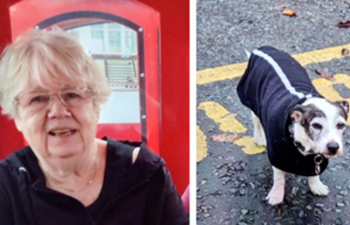 Elderly woman reported missing after failing to return from dog walk found ‘safe and well’