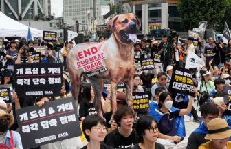South Korean parliament endorses landmark legislation banning dog meat industry