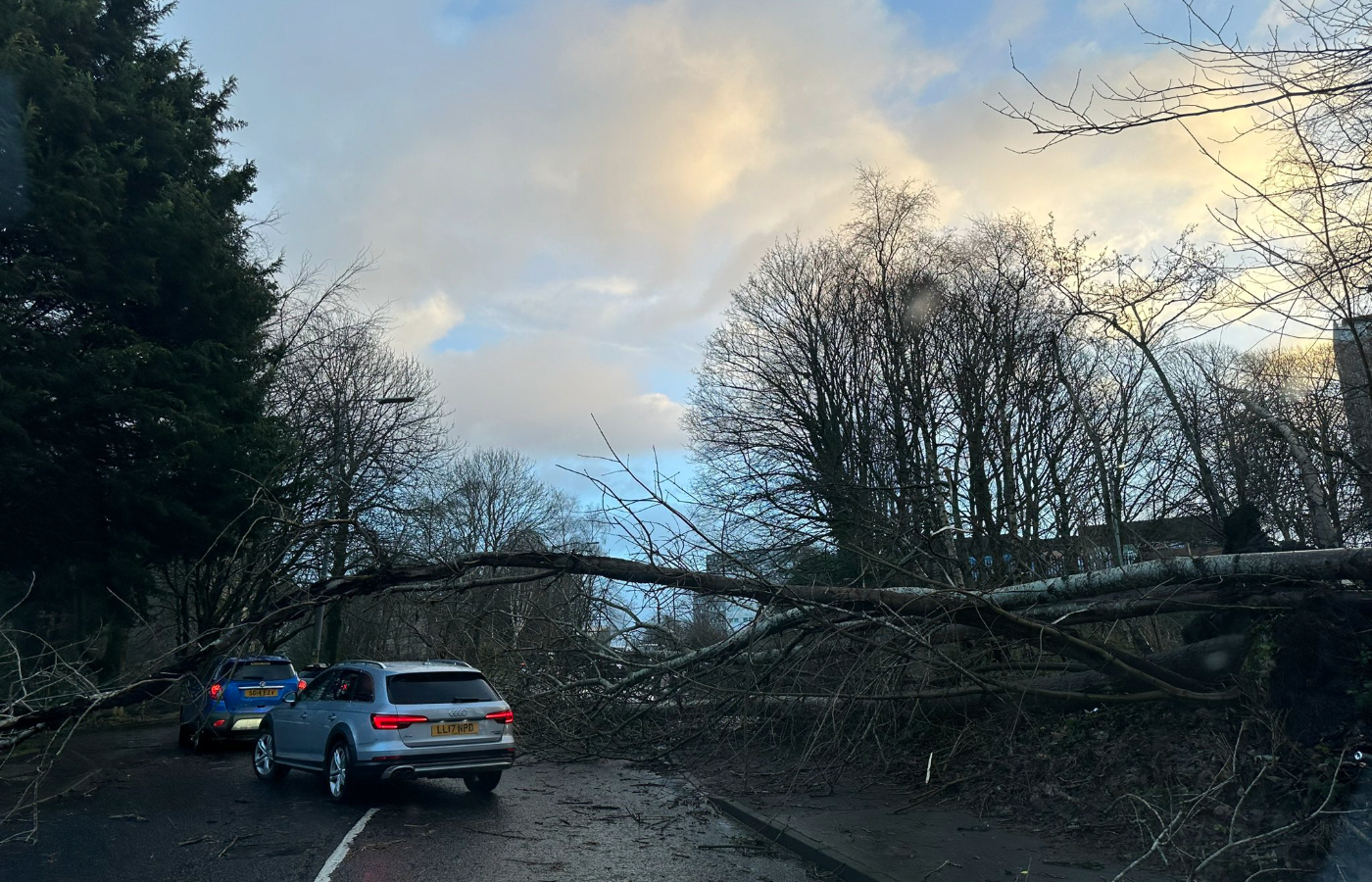 A tree fallen on to the road caused disruption for drivers in Glasgow. Photo: Abdul Bostani.