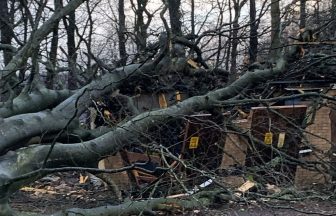 Hundreds in Falkirk face third day without power after tree crushes substation during Storm Isha