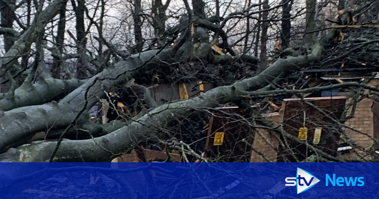 Hundreds in Falkirk face third day without power after tree crushes