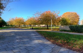 Man bitten by dog after assault on teenage girl in Dundee park