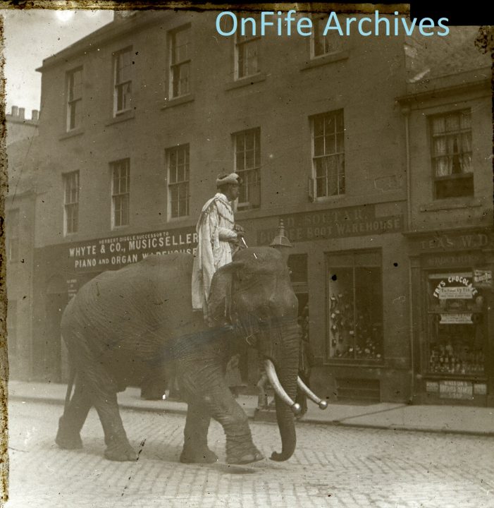 Photograph of a circus elephant in Fife by George Normand