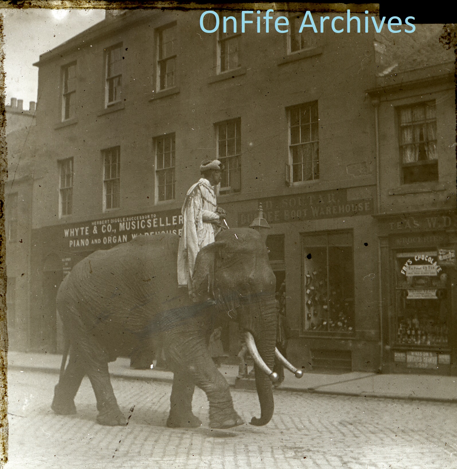 Photograph of a circus elephant in Fife by George Normand.