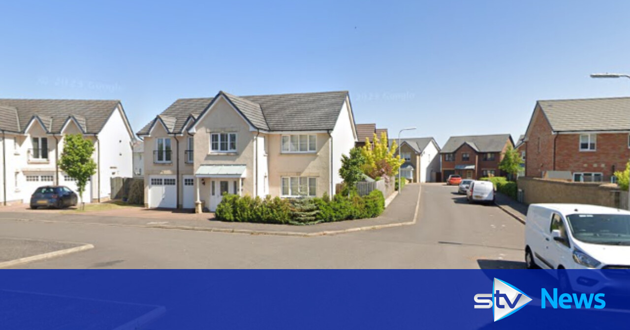 Dog put down after man rushed to hospital following attack in