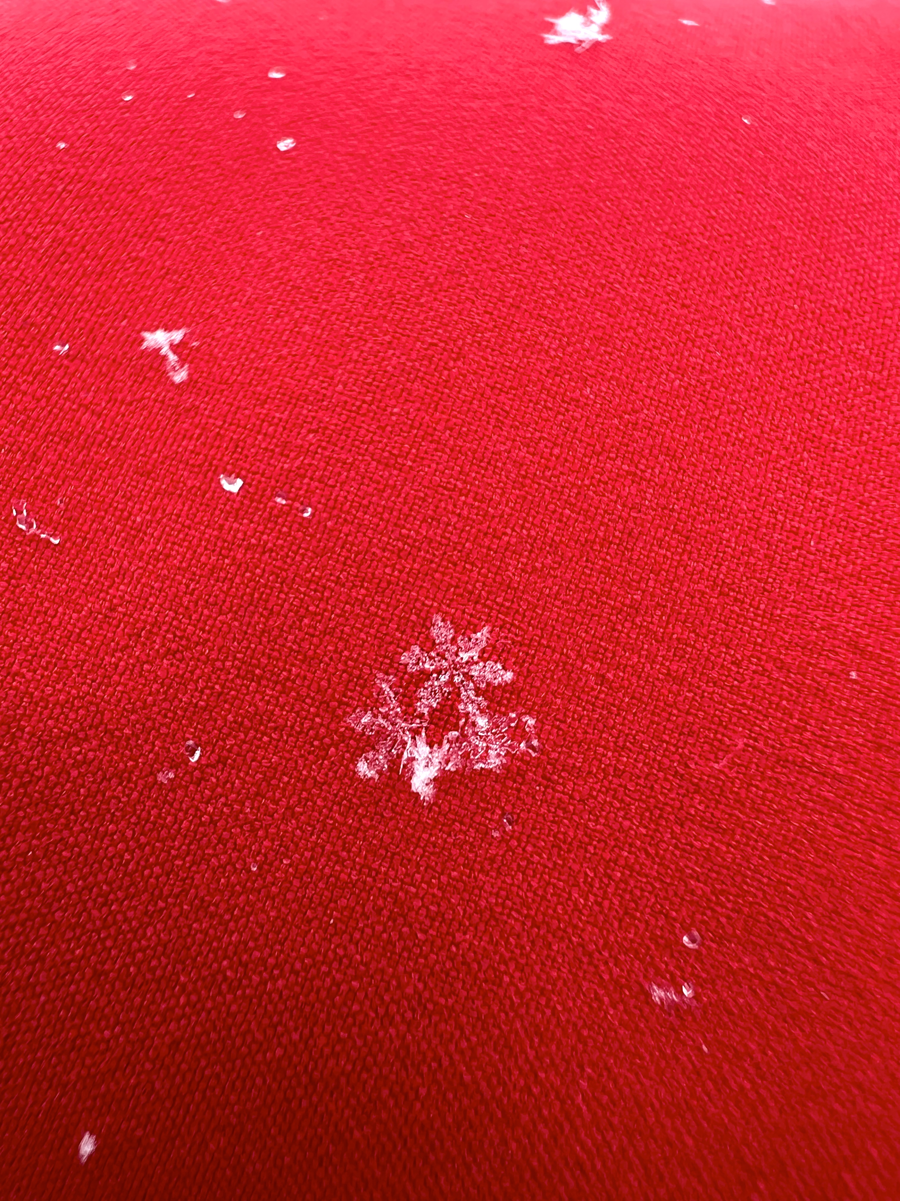 STV's Sean Batty was among a group of international meteorologists geeking out over things such as beautifully formed snowflakes.