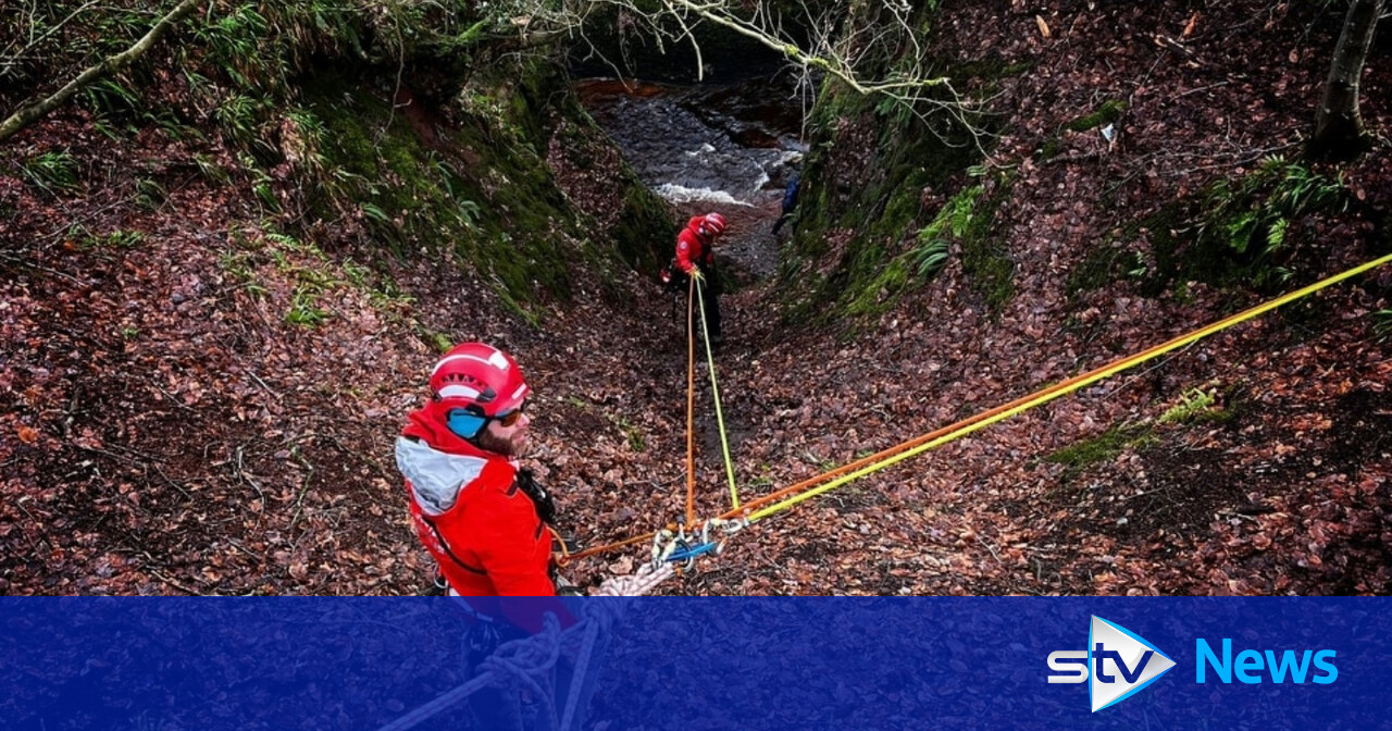 Walker rescued after falling and getting stuck down gully at beauty spot