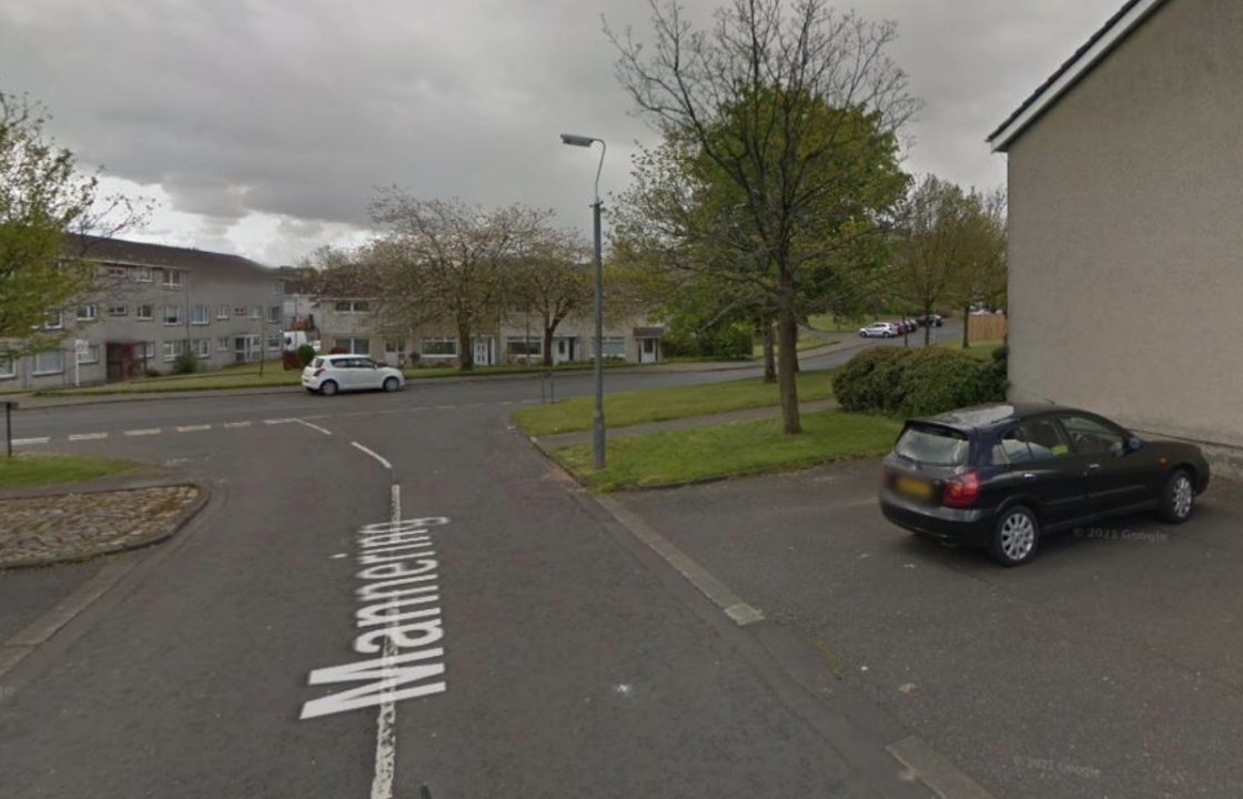 Large bulldog shot dead by police after attack leaves three people injuredin East Kilbride