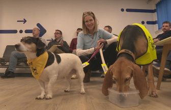 Dogs provide therapeutic support to oil workers ahead of flights as part of Helipet initiative in Aberdeen