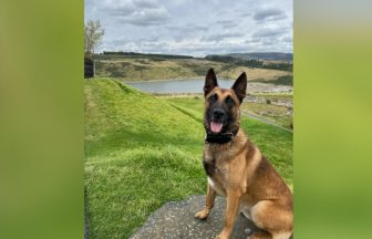 Man traced by police dog and arrested following spate of break-ins across Edinburgh