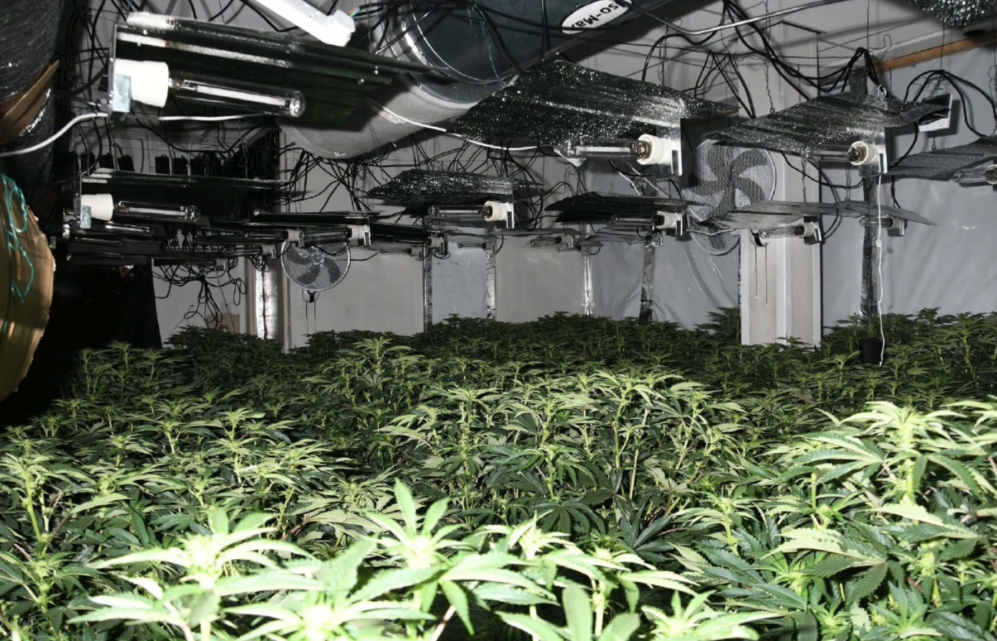 The cannabis farm inside a former bank on Great Western Road in Glasgow.