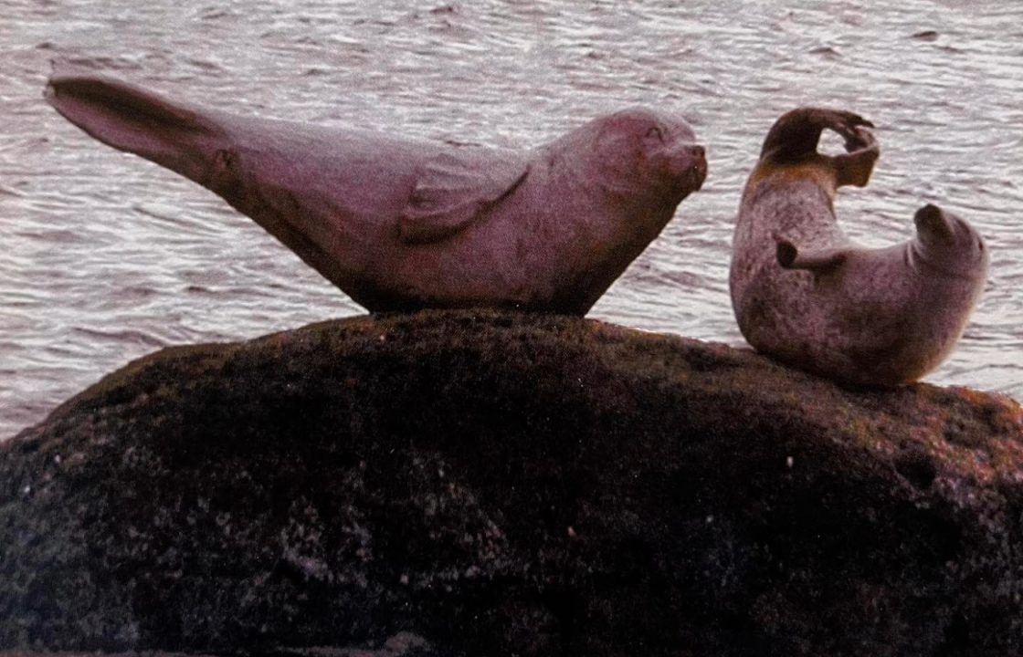 Arran residents launch search for wooden seal statue washed away during Storm Isha