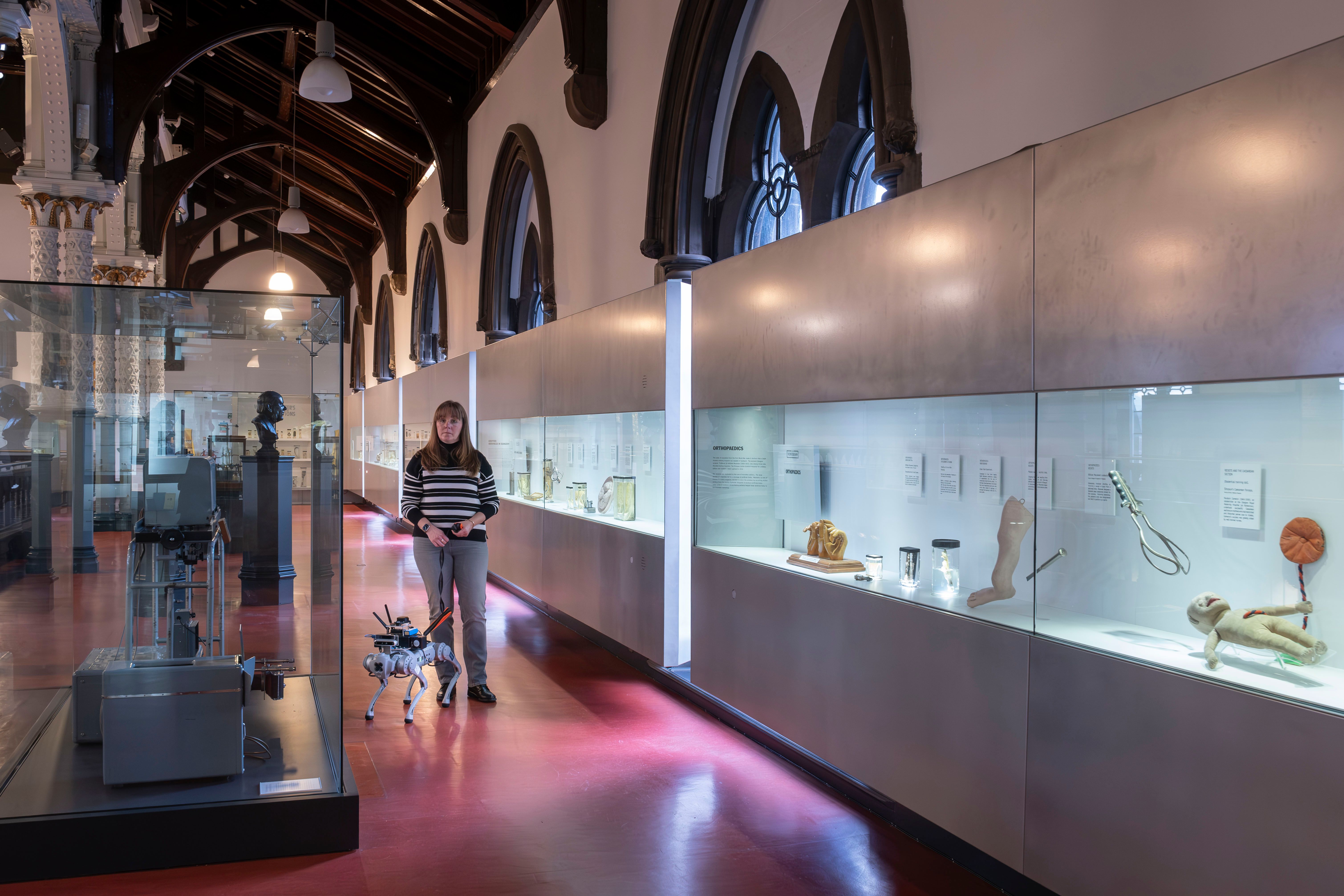 Volunteers used the robot guide dog to get around the Hunterian in Glasgow. Photo: University of Glasgow.
