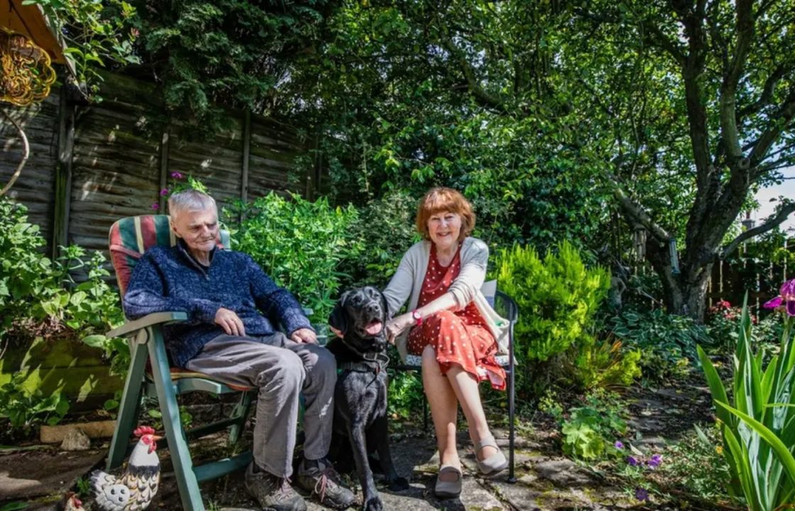 Dog trained to help dementia patients seeking new home near Glasgow