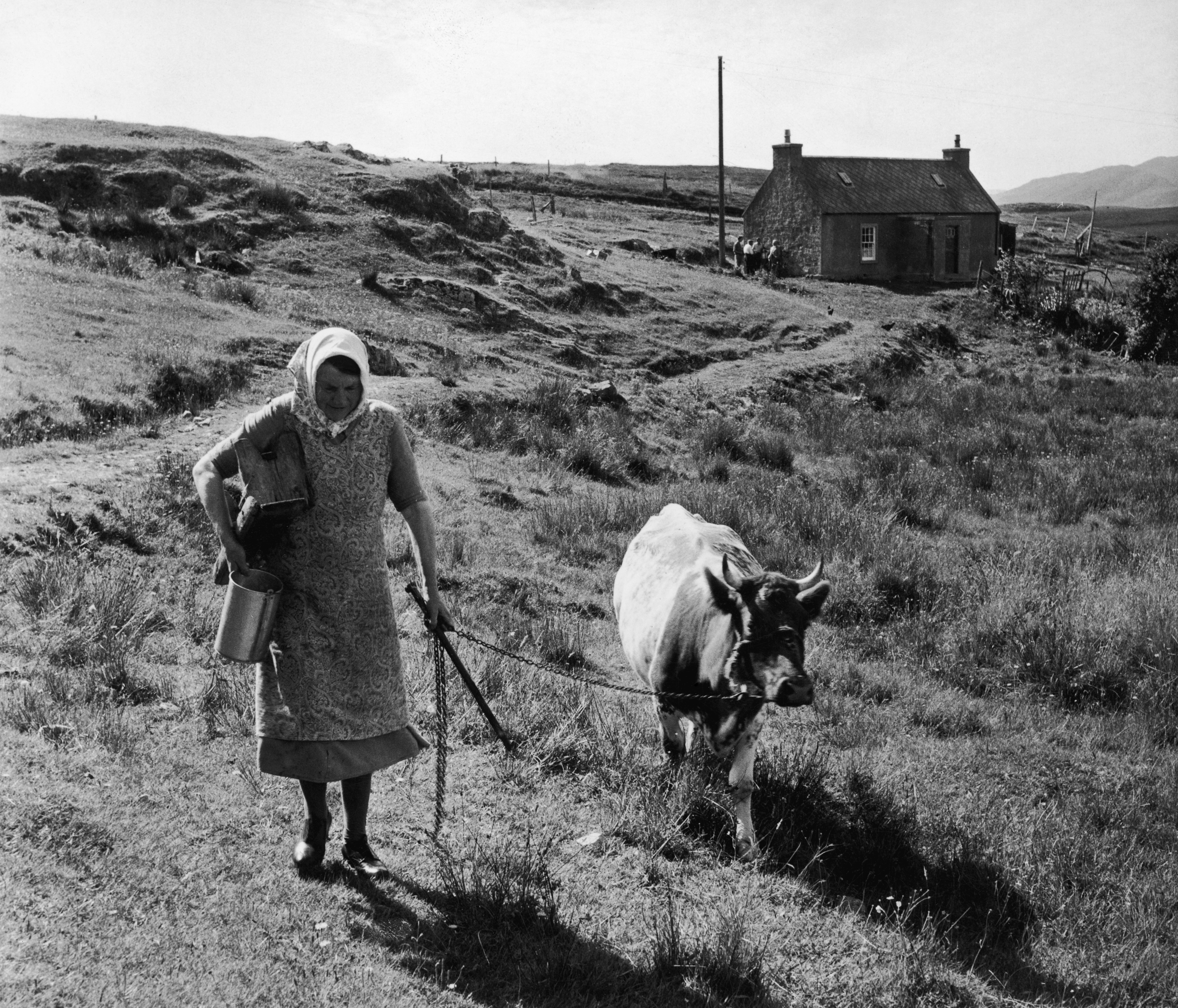 A woman leads her cow along a remote country track on the island of Lewis and Harris in the Outer Hebrides, September 3 1955. Original publication: Picture Post - 7967 - The Crofters' Isle - pub. 1955 (Photo by Bert Hardy/Picture Post/Hulton Archive/Getty Images)