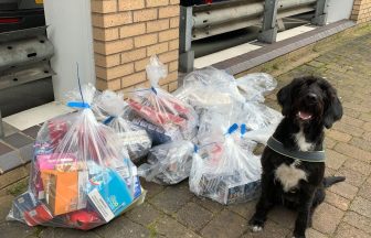 Tobacco sniffer dog uncovers £17,000 worth of illegal cigarettes and vapes in Perth and Kinross