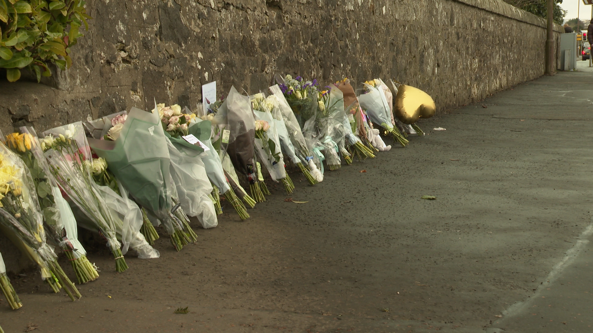 People have left flowers near the road where the boy was hit.