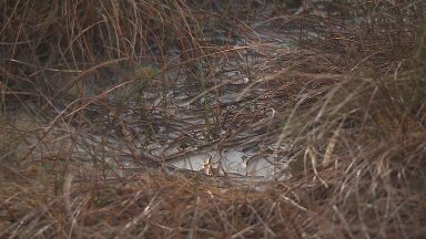 Peatland restoration work could see 200 jobs created