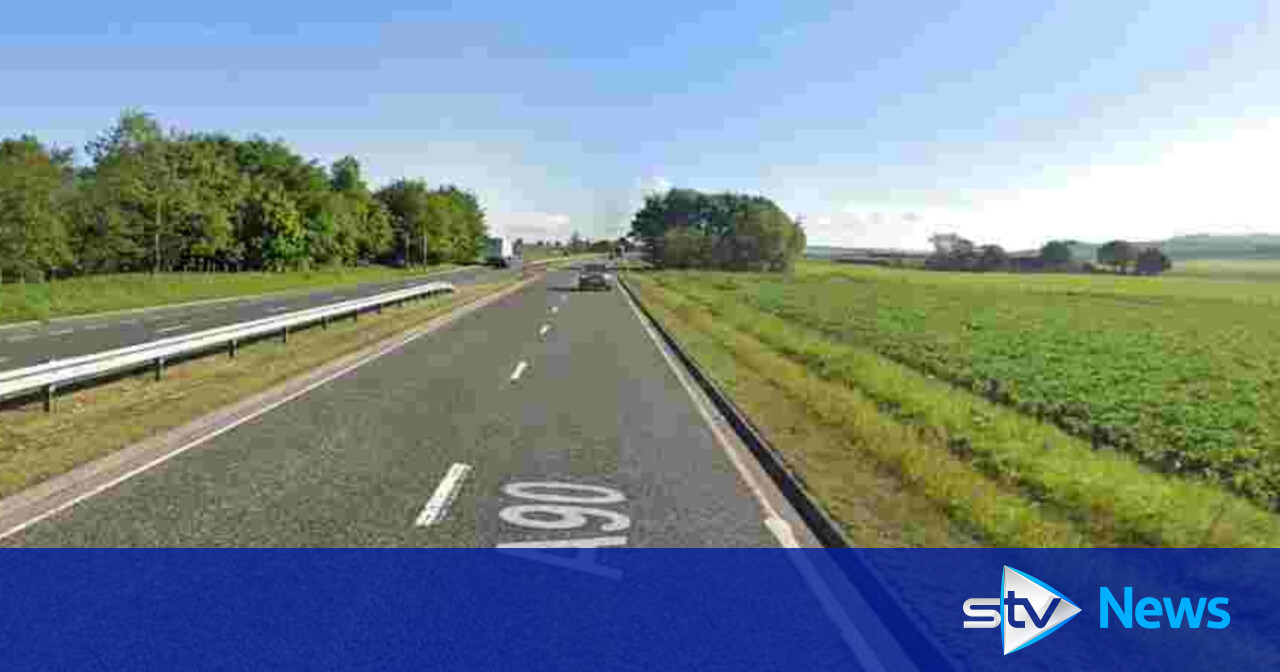 Dog killed in hit and run as police search for driver | STV News