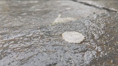 Scots scientists develop technique for reusing chewing gum