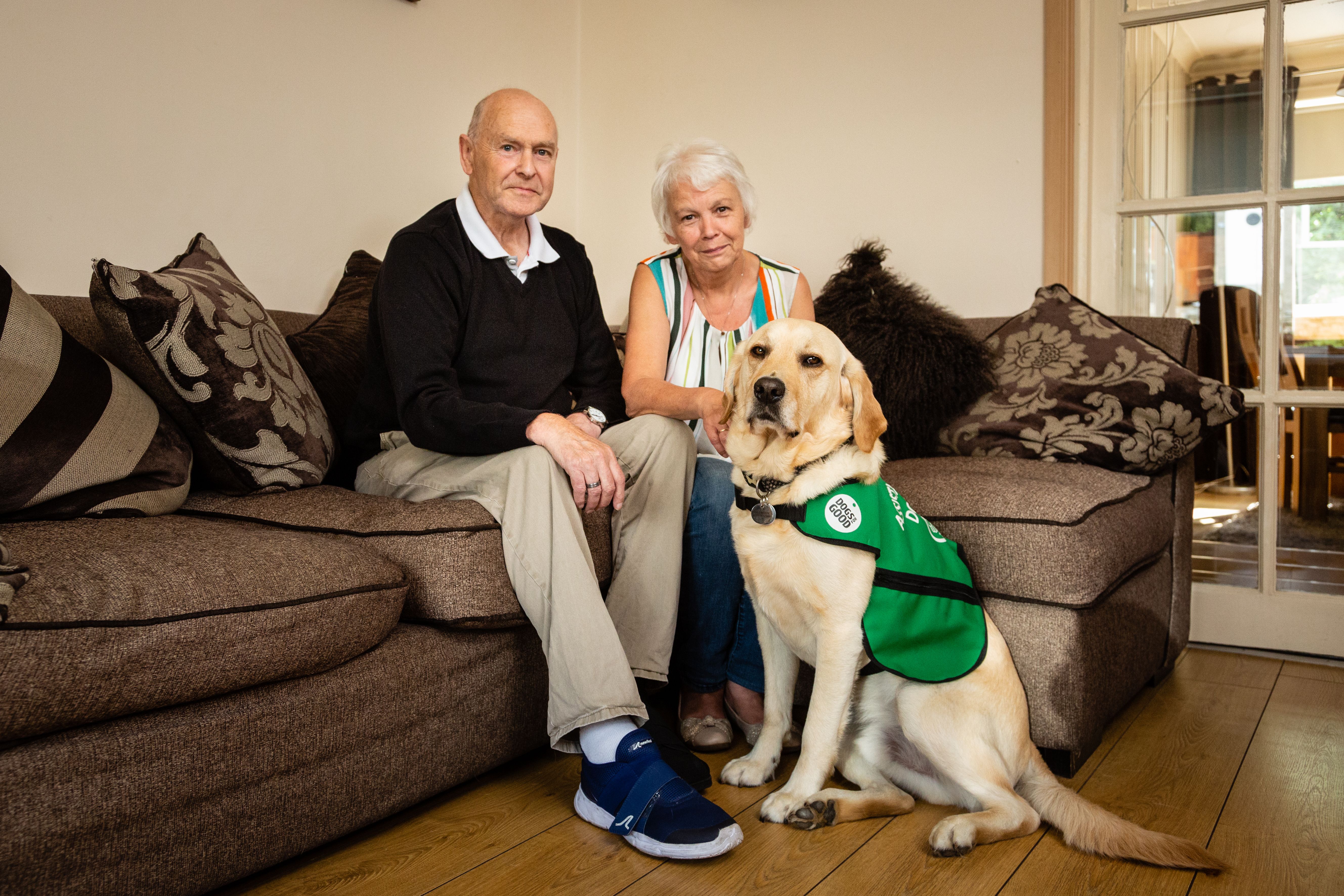 Project in Glasgow helping people with dementia - with the help of dogs