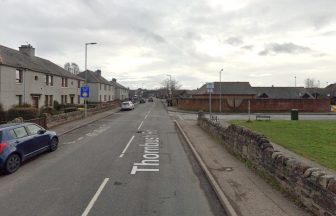 Dog knocked down after car mounts kerb in Inverness ‘hit and run’