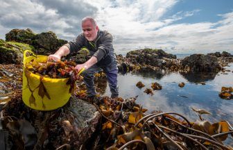 Edinburgh Napier University researchers launch biodegradable seaweed alternative to plastic