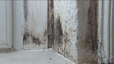 Number of children living in damp and mould rising, say social workers