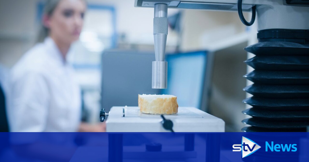 Gluten-free bread ‘could taste like real thing’ with new technology