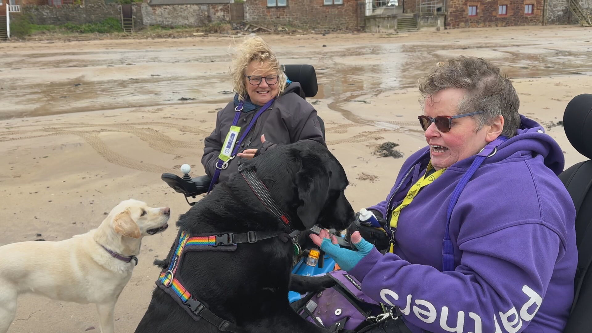 Sally and Wilma enjoying quality time with their assistance dogs on the beach.
