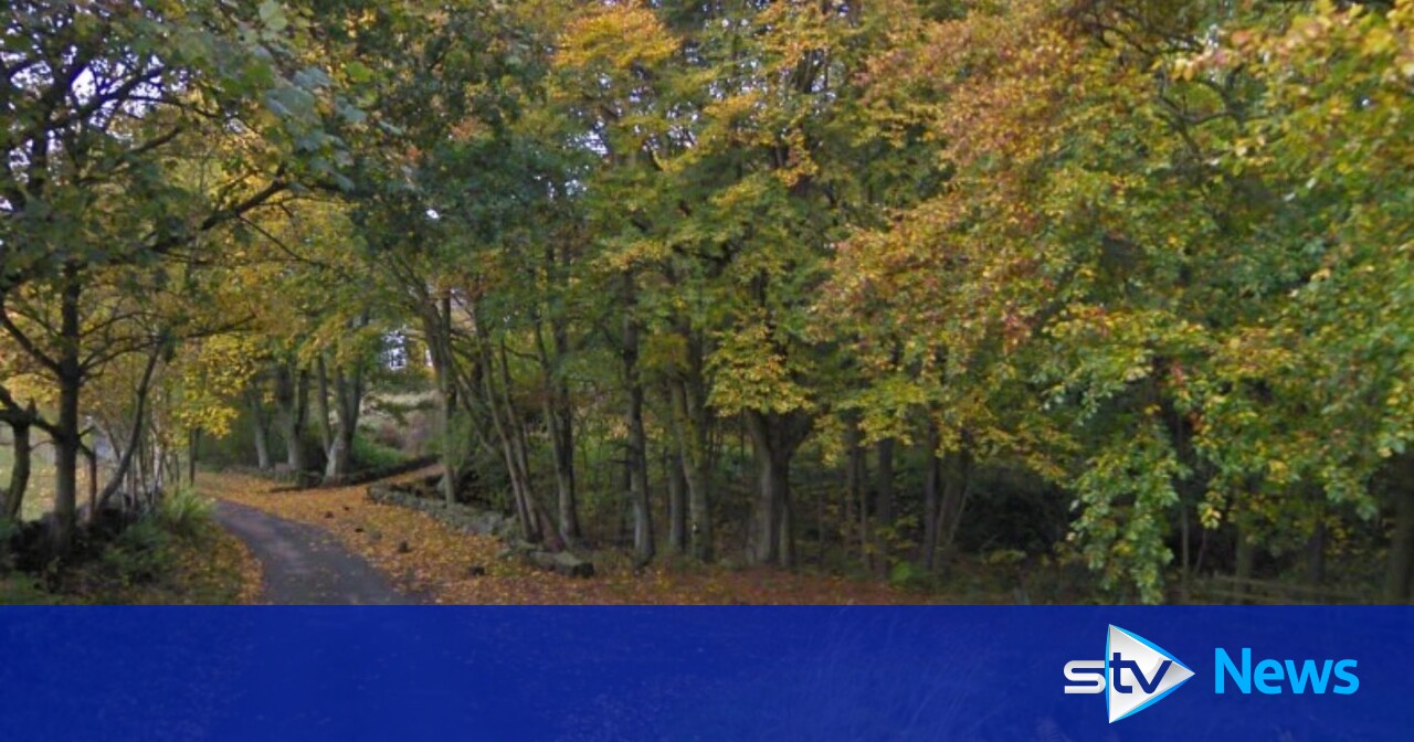 First Of Its Kind 'tiny Housing' Forest Commune Approved In Fife 