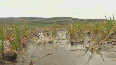 Wettest winter ever experienced say North East farmers