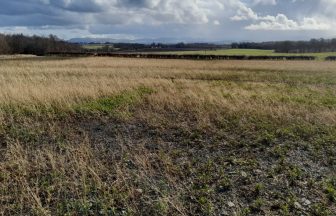 Permission granted for one of largest solar panel farms in Scotland in West Lothian