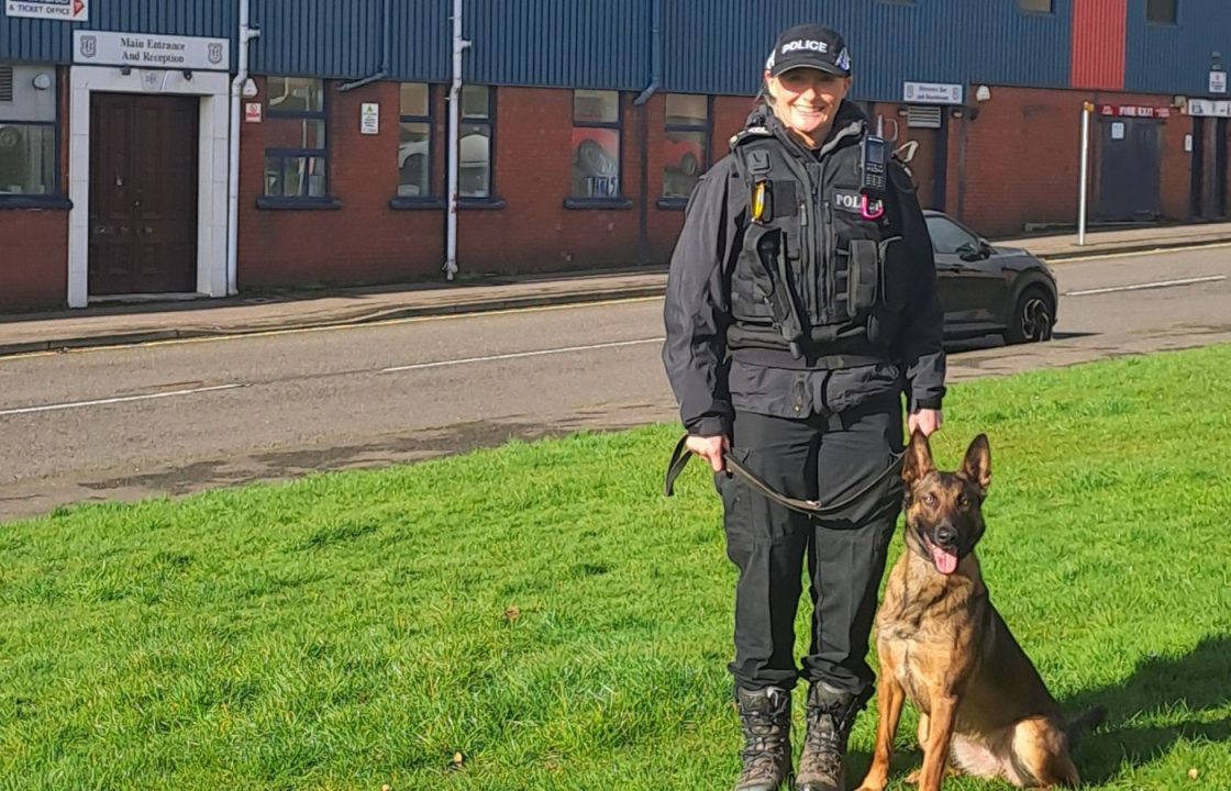 Police dogs to search for pyrotechnics at Dundee FC game after young fan injured 