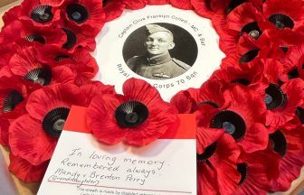 Granddaughter lays wreath for fighter pilot in Anzac day service
