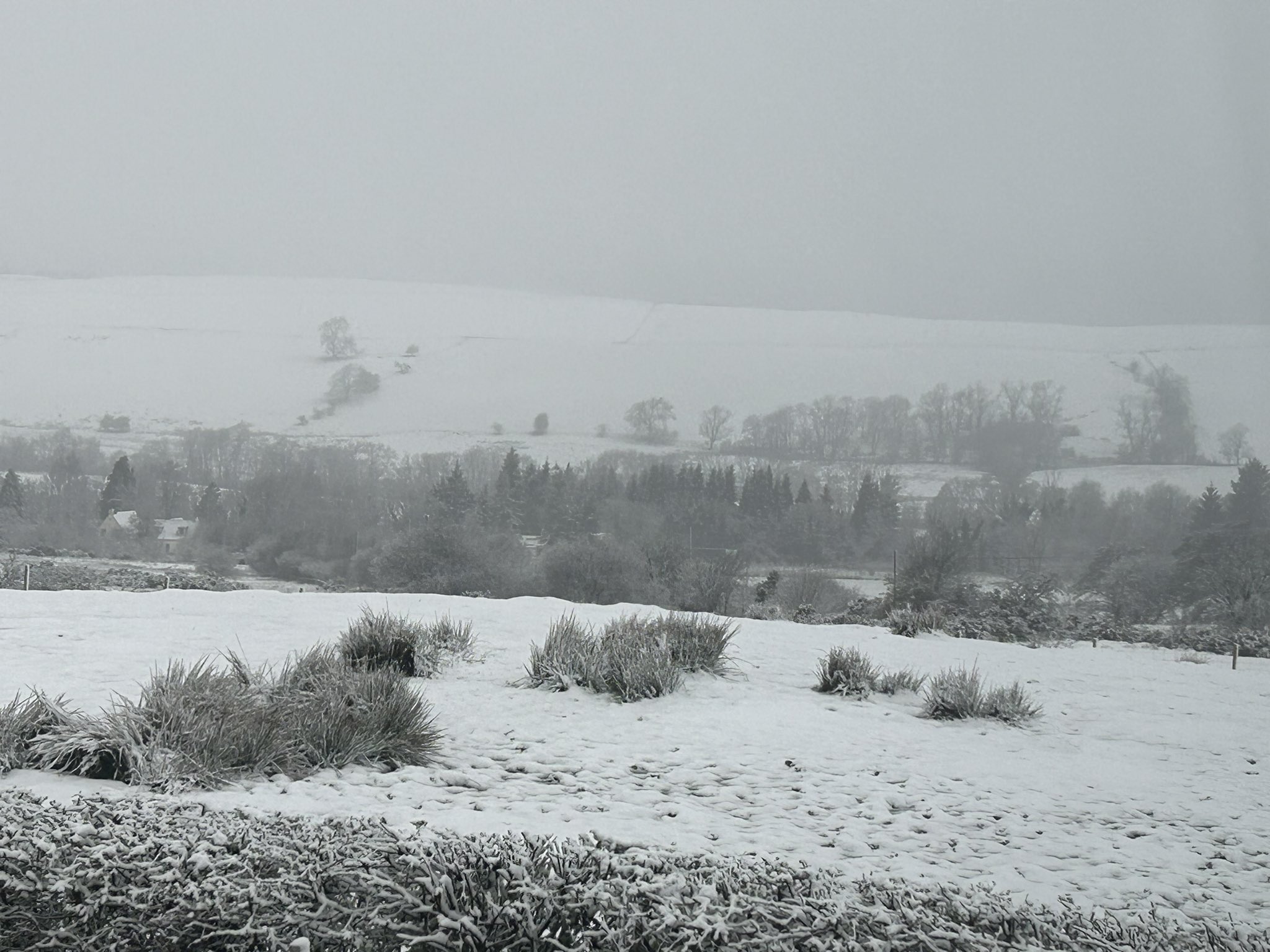 Aberfoyle residents awoke to a winter wonderland on their doorstep. 