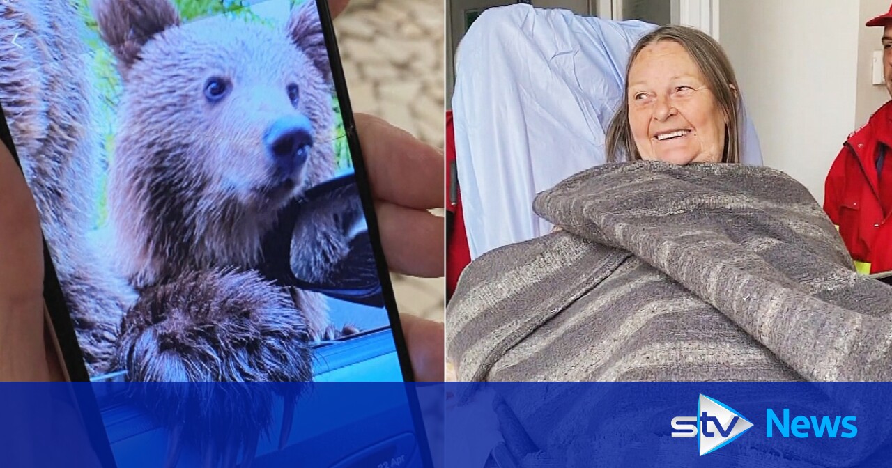 Turist scoțian atacat de urs prin geamul mașinii în România