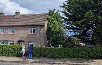 Man narrowly avoids being crushed after tree falls on top of neighbour’s home during Storm Kathleen
