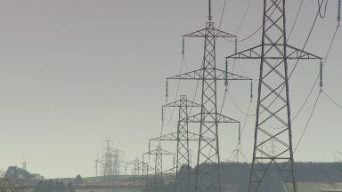 Campaigners petition government over new electrical pylons