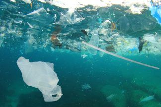 Plastic bottles most littered item by rivers and waterways, Keep Scotland Beautiful survey finds