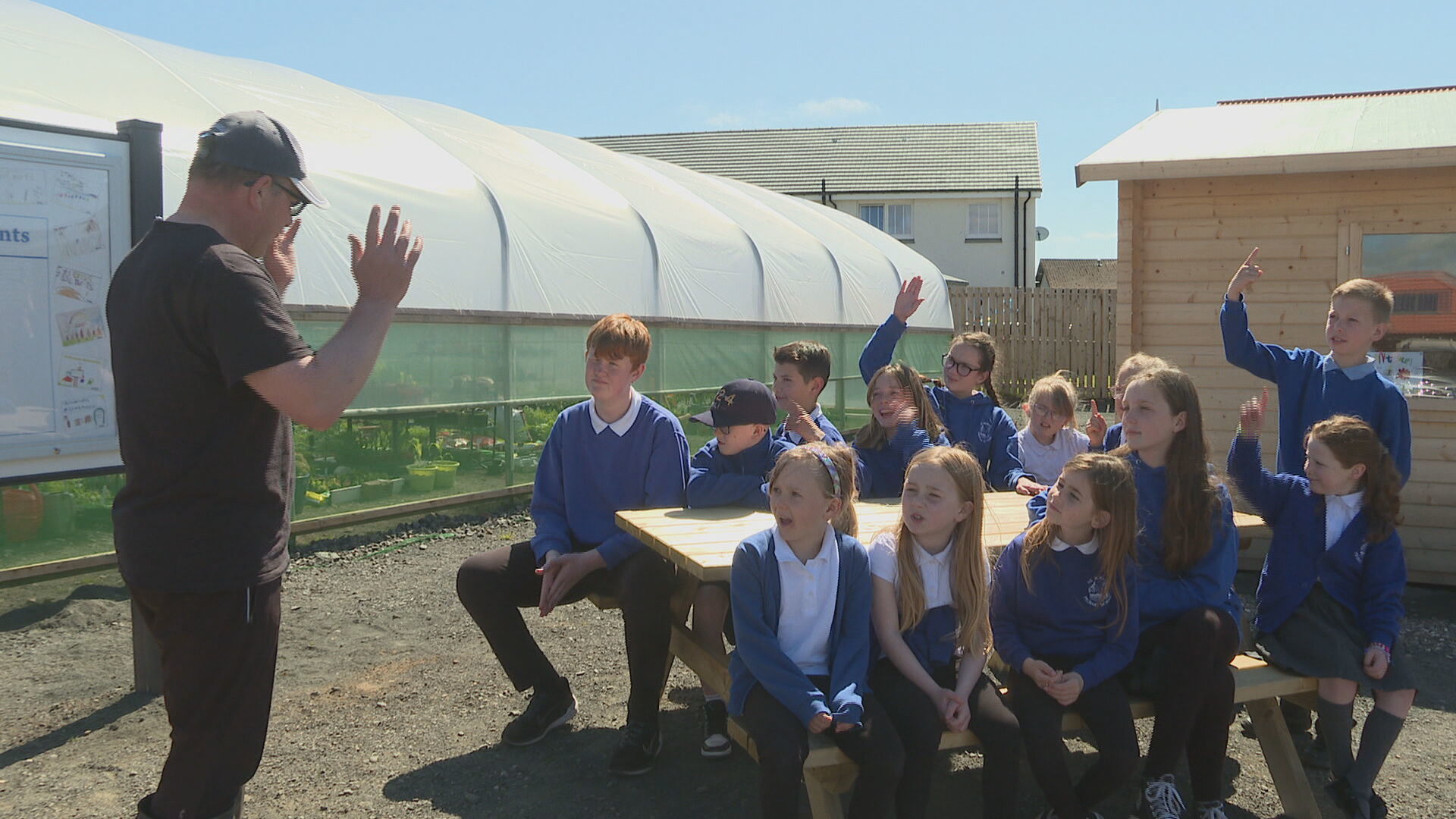 School pupils have been learning about gardening at the allotment
