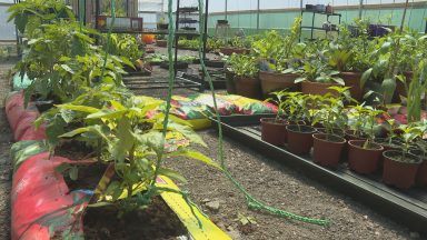 New community allotment plots snapped up by locals