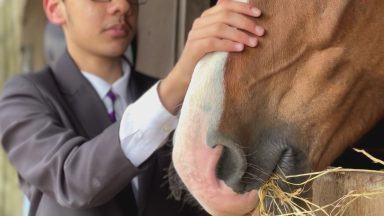 School pupils being trained to care for horses as part of police-run course