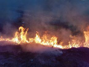 Extreme wildfire warnings in place across parts of Scotland