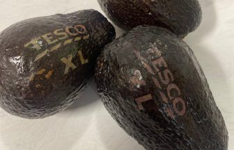 Laser labels etched onto Tesco avocados in environmental move to replace stickers