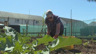 New community allotment in East Neuk helping boost locals’ mental health