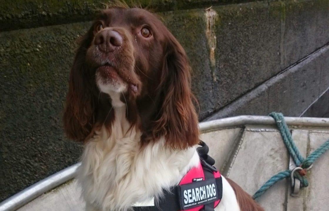 Scotland’s first underwater sniffer dog dies after 11 years in service