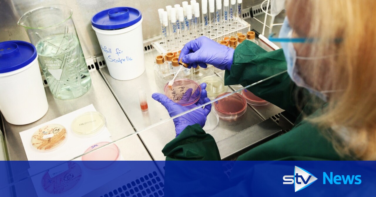 Why are cases of potentially deadly E.coli surging in Scotland?