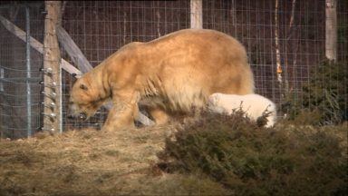 Highland Wildlife Park opens new multi-million pound visitor attraction upgrade